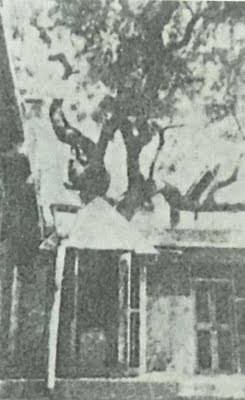 Old gurusthan in shirdi 1910